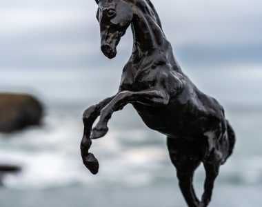 Siobhan Bulfin