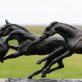 Siobhan Bulfin Bronze race horses sculpture equestrian equine interiors Irish bronze horse