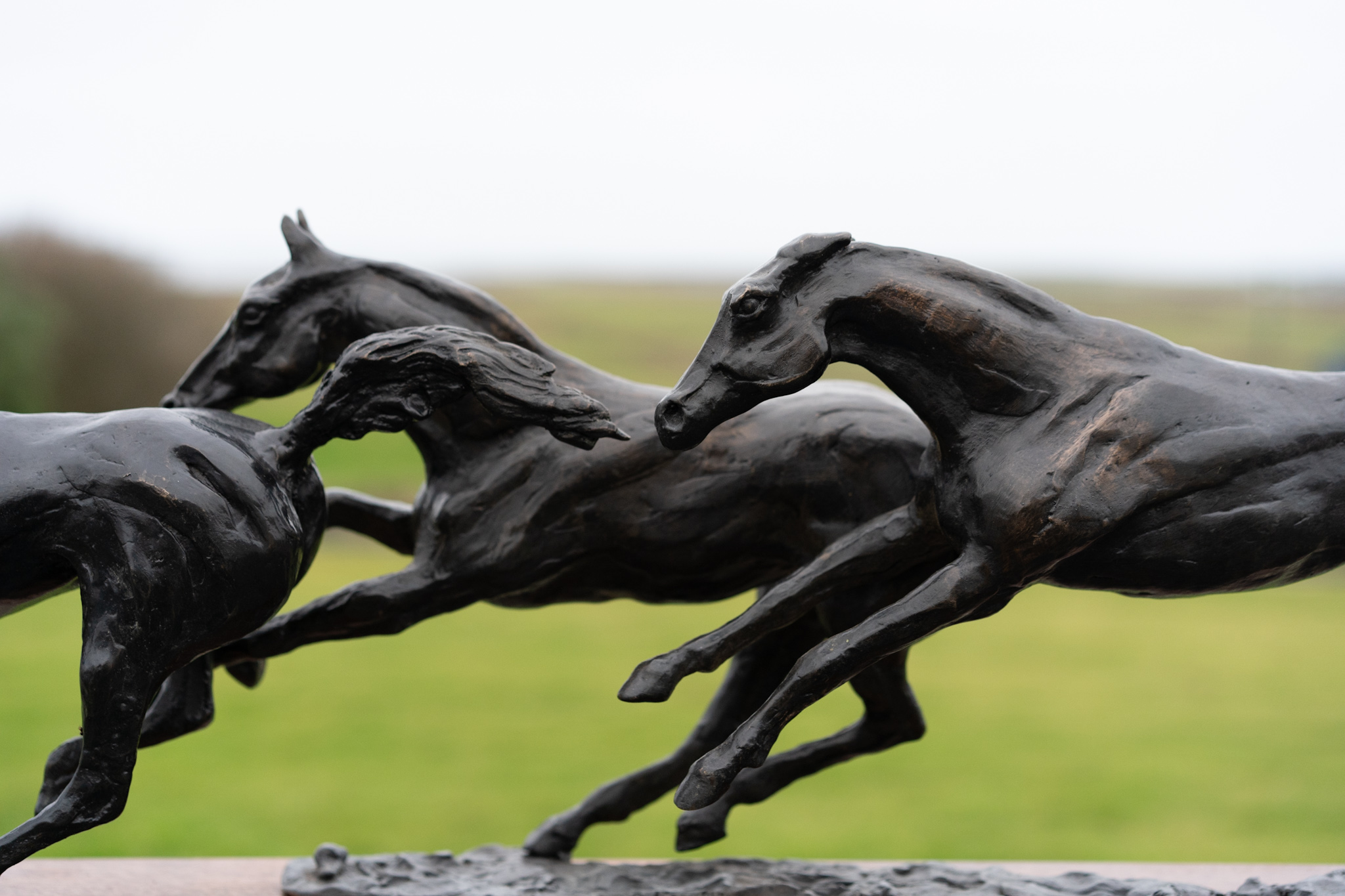 Siobhan Bulfin Bronze race horses sculpture equestrian equine interiors Irish bronze horse