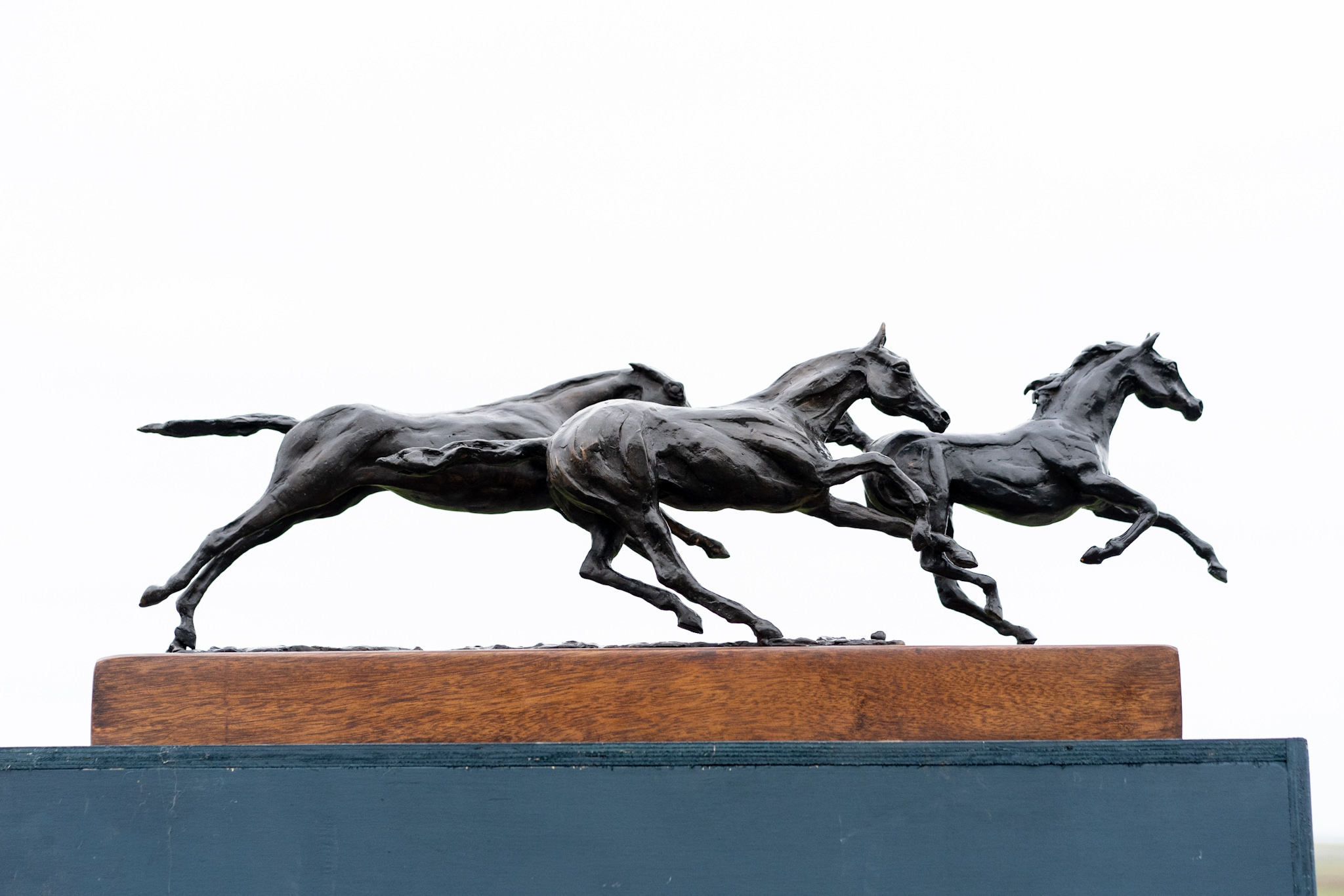 Siobhan Bulfin Bronze race horses sculpture equestrian equine interiors Irish bronze horse