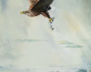Phill Brennan Kilbaha Gallery Irish Art and Interiors eagle original watercolour painting gift interiors art ireland