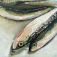 Fish Oonagh O Toole Irish Art Oil Painting Kilbaha Gallery Original Irish Art Interiors