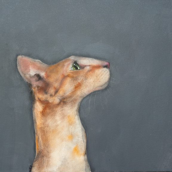 Heidi Wickham orange cat Irish artist contemporary art painting framed Ireland Kilbaha Gallery animal art acrylics original work gift interiors