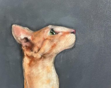 Heidi Wickham Orange Cat acrylic original canvas painting contemporary Irish art gift interiors Irish interiors painting