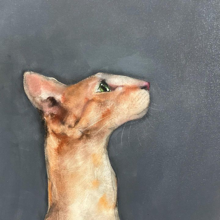 Heidi Wickham Orange Cat acrylic original canvas painting contemporary Irish art gift interiors Irish interiors painting