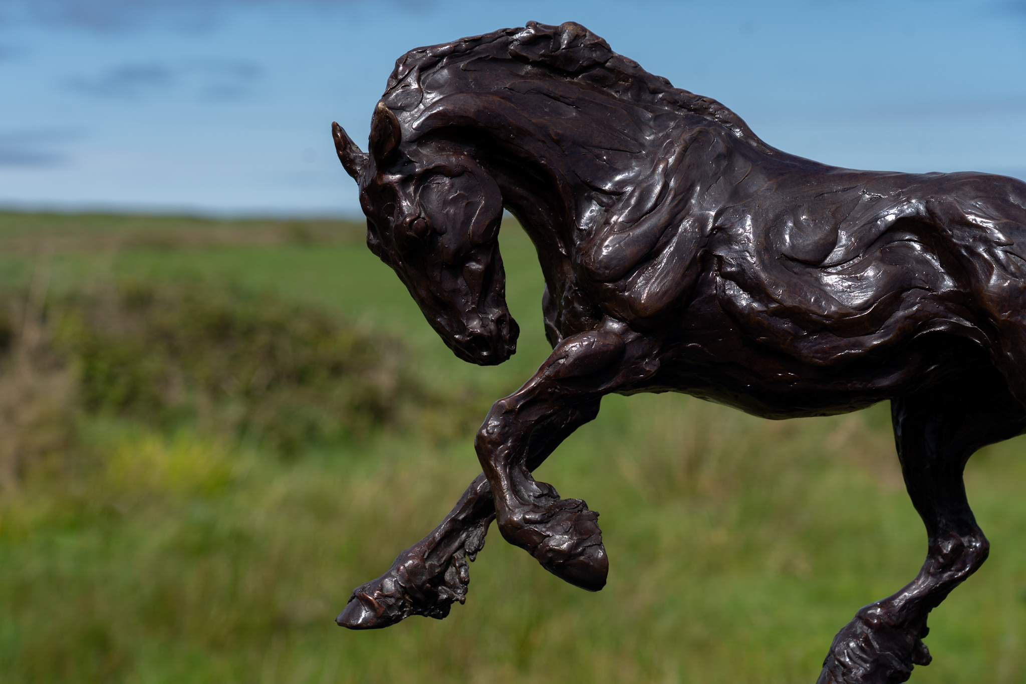 Siobhan Bulfin Bronze Galloping Working Horse large equestrian bronze statue equine statue horses horse racing hri Ireland WAW Kilbaha Gallery