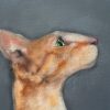 Heidi Wickham orange cat Irish artist contemporary art painting framed Ireland Kilbaha Gallery animal art acrylics original work gift interiors