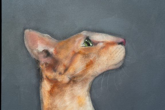 Heidi Wickham orange cat Irish artist contemporary art painting framed Ireland Kilbaha Gallery animal art acrylics original work gift interiors