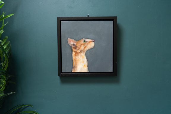 Heidi Wickham orange cat Irish artist contemporary art painting framed Ireland Kilbaha Gallery animal art acrylics original work gift interiors