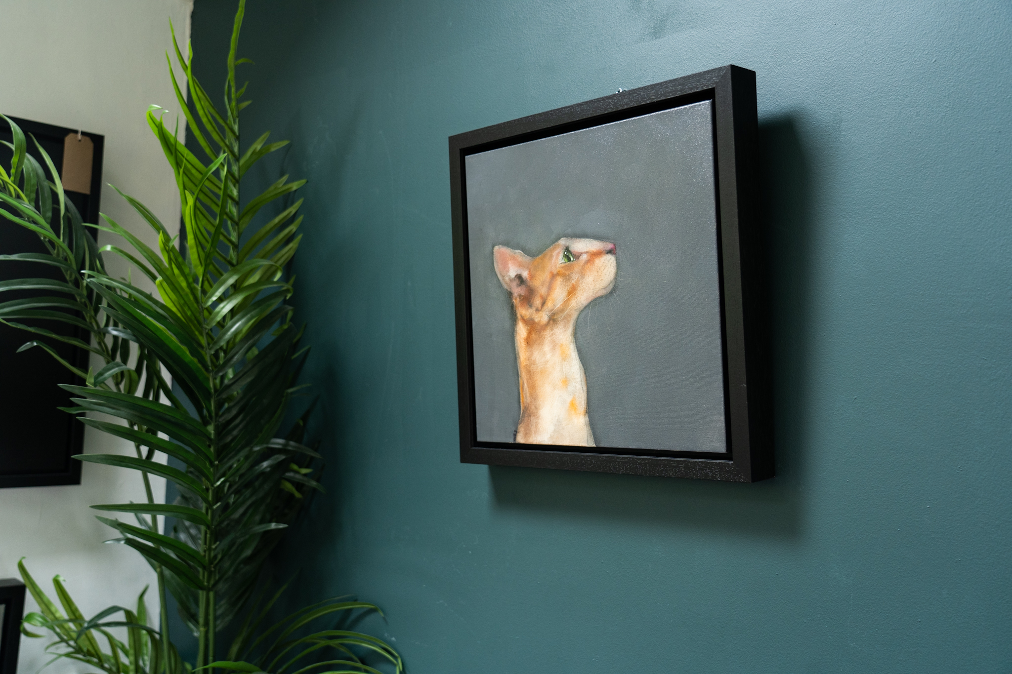 Heidi Wickham orange cat Irish artist contemporary art painting framed Ireland Kilbaha Gallery animal art acrylics original work gift interiors