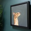 Heidi Wickham orange cat Irish artist contemporary art painting framed Ireland Kilbaha Gallery animal art acrylics original work gift interiors