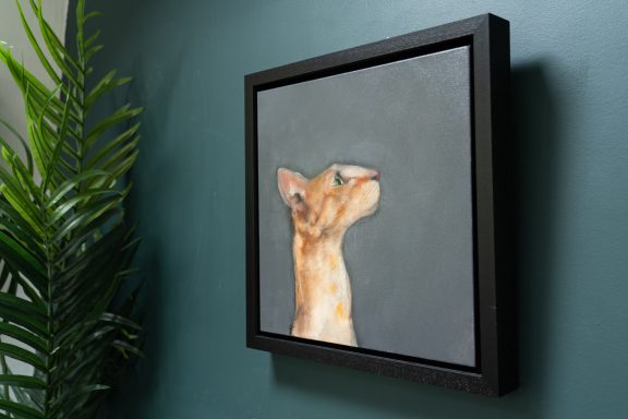 Heidi Wickham orange cat Irish artist contemporary art painting framed Ireland Kilbaha Gallery animal art acrylics original work gift interiors