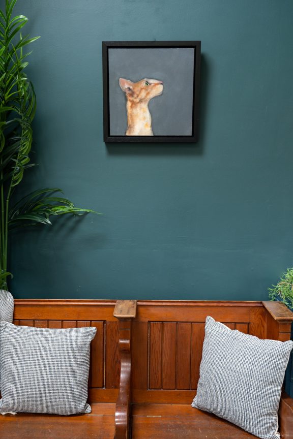 Heidi Wickham orange cat Irish artist contemporary art painting framed Ireland Kilbaha Gallery animal art acrylics original work gift interiors