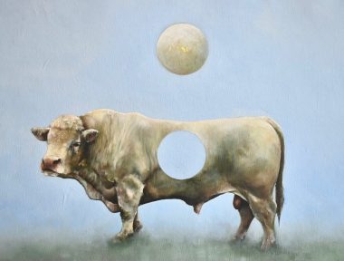 Sallyann Beirne Whole bull oil on canvas painting Irish art original art Kilbaha Gallery Collectable art contemporary interiors gift
