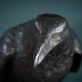 Adam Pomeroy Bronze Raven lifesize raven bronze statue sculptor contemporary Irish artist Irish art original Irish art Interiors art and interiors