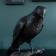 Adam Pomeroy Ireland bronze sculpture Irish art bronze raven contemporary Irish art lifesize