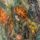 Carmel Madgian Kilbaha Gallery original Irish art Mixed Media Framed behind glass textures colours hedgerows flowers native wildflowers beautiful Interiors Kilbaha Gallery