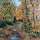 Vandeleur Woods Kilrush Co Clare forestry forest trees leaves Autumnal trees painting oils Ireland painting Interiors artist known as D West Clare artist Kilbaha Gallery Ireland Irish Interiors
