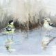 Birds Original Watercolour reflections water lake Ireland painting Interiors artist known as D West Clare artist Kilbaha Gallery Ireland Irish Interiors