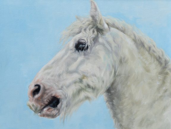 Rebekah Van Kan for Kilbaha Gallery Napoleon The Irish Cob equestrian horse pony horse art painting Ireland Kilbaha Gallery