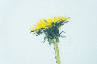 Kaye Maahs Dandelion original oil painting collectable oils on canvas framed beautiful wildflower collectable original piece Ireland Irish gift Kilbaha Gallery