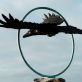 Adam Pomeroy Bronze Raven in Flight extraordinary piece of art Irish art sculpture Irish interiors adam pomeroy Kilbaha Gallery Ireland contemporary sculpture