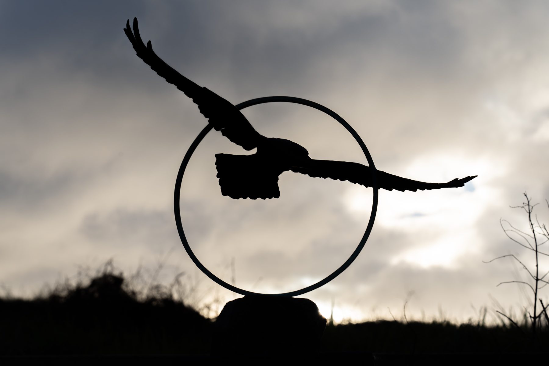 Adam Pomeroy Bronze Raven in Flight edition beautiful sculpture extraordinary detail collectable piece Adam Pomeroy Kilbaha Gallery Interiors Irish art