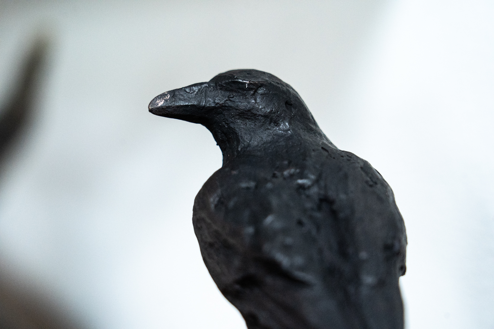 Adam Pomeroy Bronze Raven Ireland Irish art original Irish art bronze editions beautiful sculpture bronze foundry Irish art original work sculptor Ireland Irish art statue gift exhibit interiors