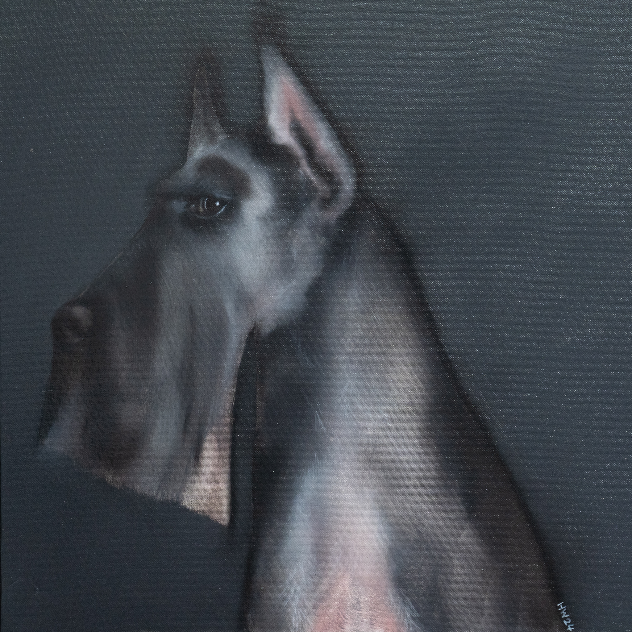 Heidi Wickham acrylics on canvas Schnauzer dog painting Ireland Original Irish art painting Ireland Irish dog Ireland canvas painting Interiors Kilbaha Gallery