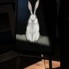Heidi Wickham Fox Bunny Original Irish art beautiful pieces Ireland Irish art acrylic original painting West of Ireland Interiors inspiration collection