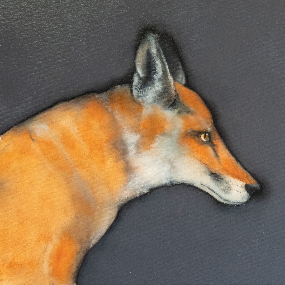 Fox by Heidi Wickham for Kilbaha Gallery