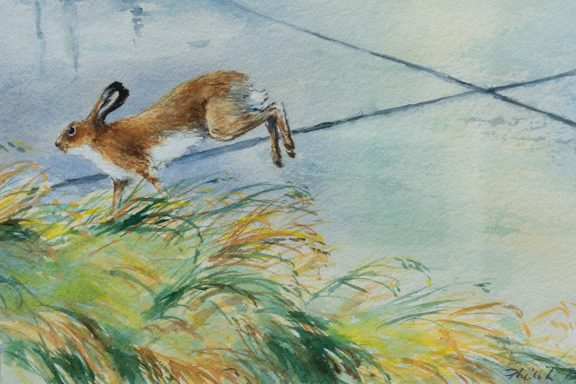Phil Brennan nature lover watercolour artist birdwatching expert author and contemporary artist original Irish art beautiful Irish watercolour Interiors art and Interiors perfect piece of art unique