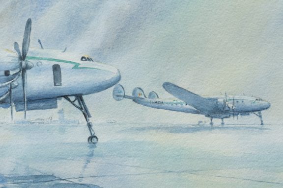 Phil Brennan nature lover watercolour artist birdwatching expert author and contemporary artist original Irish art beautiful Irish watercolour Interiors art and Interiors perfect piece of art unique