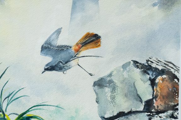 Phil Brennan nature lover watercolour artist birdwatching expert author and contemporary artist original Irish art beautiful Irish watercolour Interiors art and Interiors perfect piece of art unique