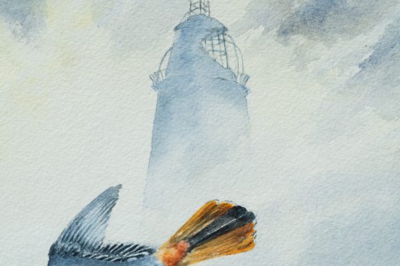 Phil Brennan nature lover watercolour artist birdwatching expert author and contemporary artist original Irish art beautiful Irish watercolour Interiors art and Interiors perfect piece of art unique