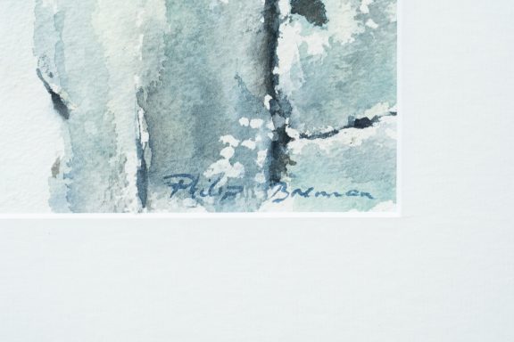 Phil Brennan nature lover watercolour artist birdwatching expert author and contemporary artist original Irish art beautiful Irish watercolour Interiors art and Interiors perfect piece of art unique