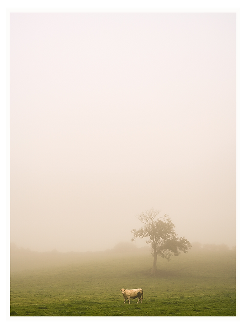 Derek Saville Fine art photography print West of Ireland Kilbaha Gallery beautiful imagery gorgeous composition stunning scenery perfect gift Interiors Irish Interiors