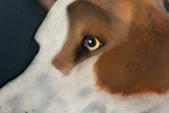Heidi Wickham dog on black beautiful painting in acrylics original Irish art terrier dog face Irish art and Interiors beautiful homes gorgeous spaces contemporary art kilbaha gallery