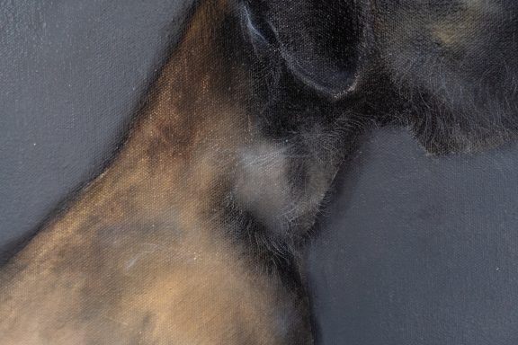 Heidi Wickham dog painting Ireland Irish art Original Irish art painting acrylics on canvas Irish interiors Kilbaha Gallery