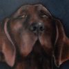 Heidi Wickham dog painting Ireland Irish art Original Irish art painting acrylics on canvas Irish interiors Kilbaha Gallery
