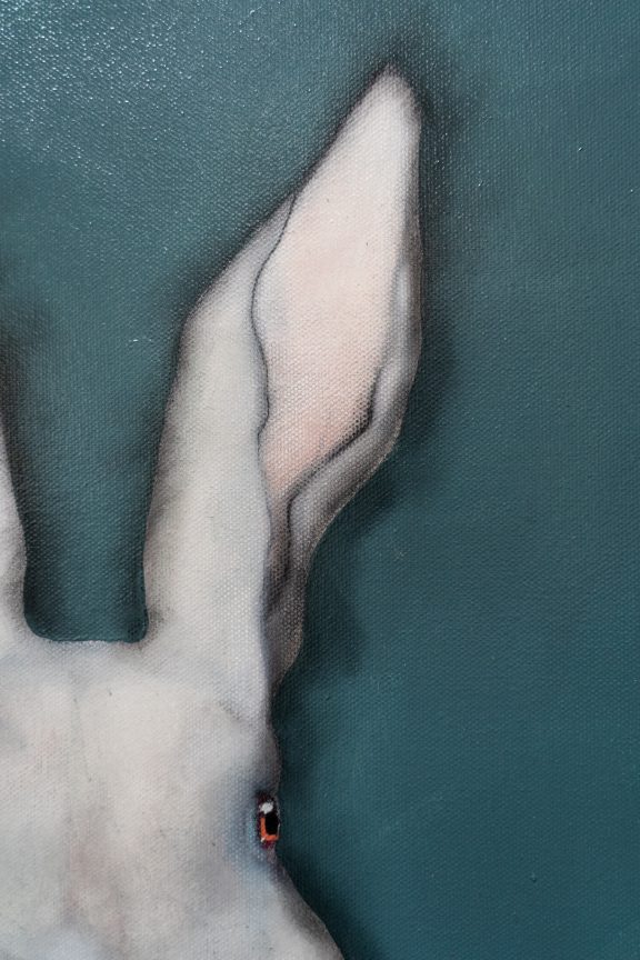 Heidi Wickham Original Contemporary Irish Art animals contrast Irish interiors Kilbaha Gallery Interior Design acrylics on canvas animals bunny painting cat dog Ireland