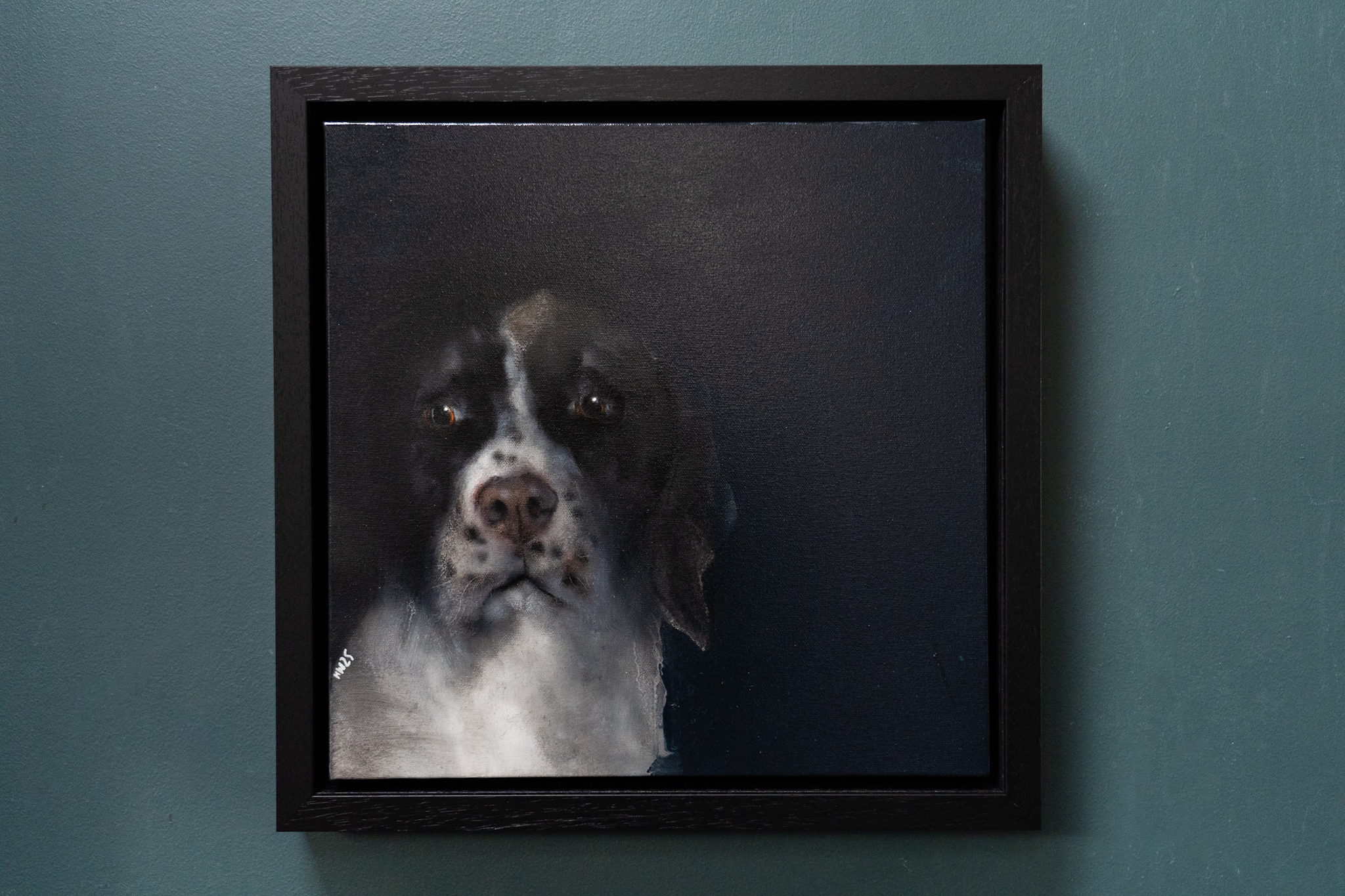 Heidi Wickham Original Contemporary Irish Art animals contrast Irish interiors Kilbaha Gallery Interior Design acrylics on canvas animals bunny painting cat dog Ireland