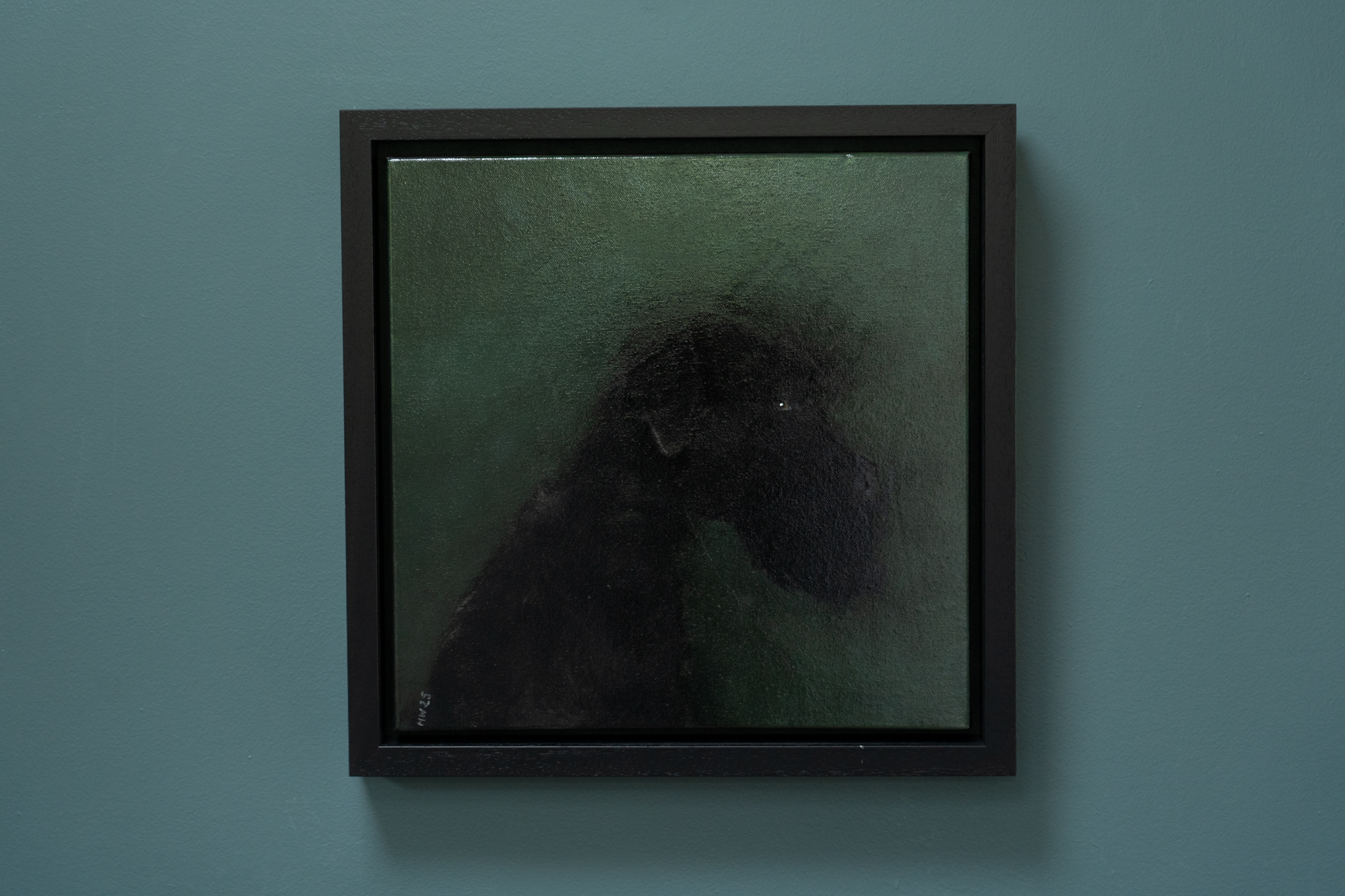 Heidi Wickham Dog Irish Art Kilbaha Gallery Irish interiors beautiful contemporary painting black dog on green