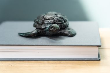 Bronze Turtle 2/12
