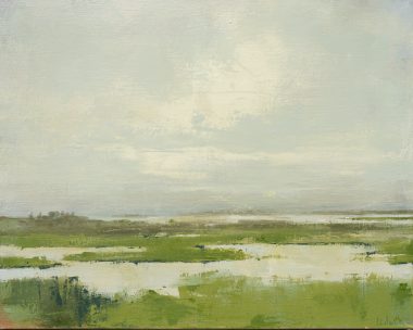 The Shannon Estuary (Shannon Airport)