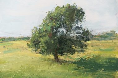 Lone Tree