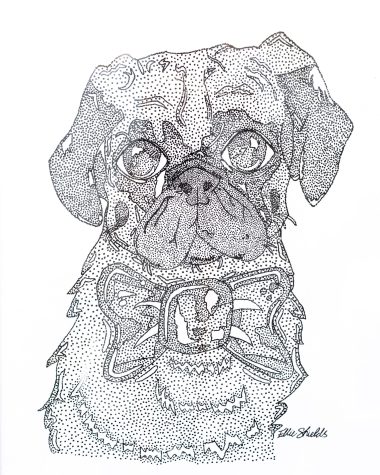 Dotted Pug