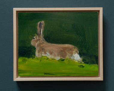 Kaye Maahs oil painting beautiful painting horizon sky and sea black rocks beach seascape kilbaha gallery ladybugs birds bees animals interiors