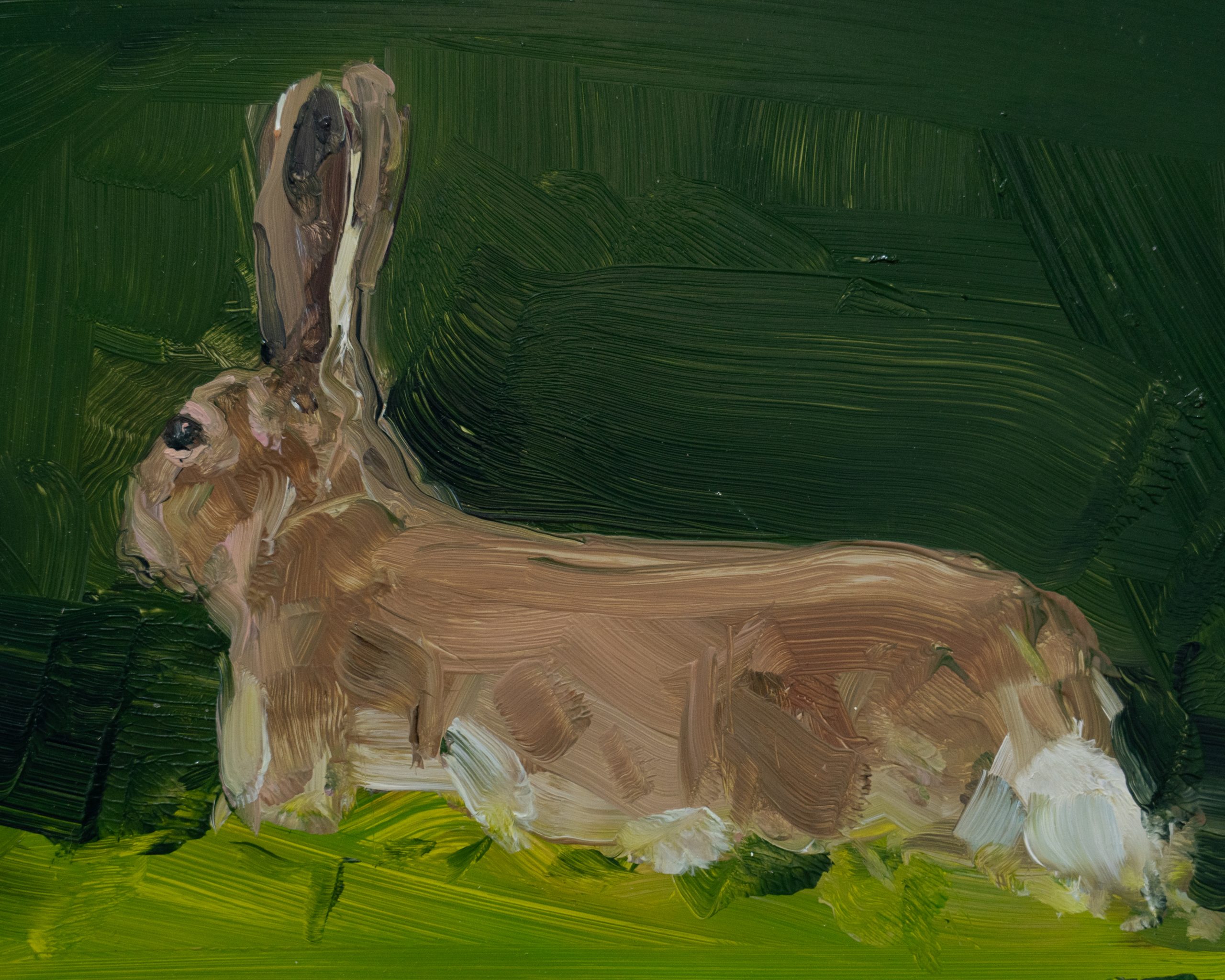 Kaye Maahs oil painting beautiful painting horizon sky and sea black rocks beach seascape kilbaha gallery ladybugs birds bees animals interiors