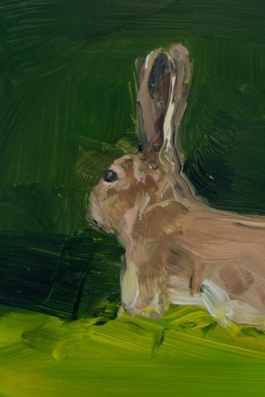 Kaye Maahs oil painting beautiful painting horizon sky and sea black rocks beach seascape kilbaha gallery ladybugs birds bees animals interiors